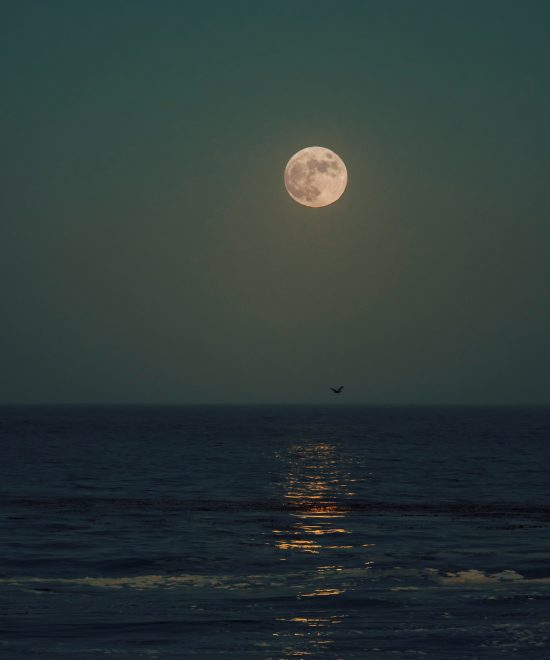 Full Moon Beach Camping Night